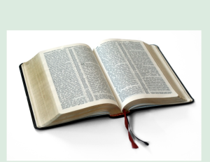 The Tree of Life Ta’nahk Book of Scripture is the only bible version used on the Hebraic Catholic bible study of WayTruthLifeStudy.com
